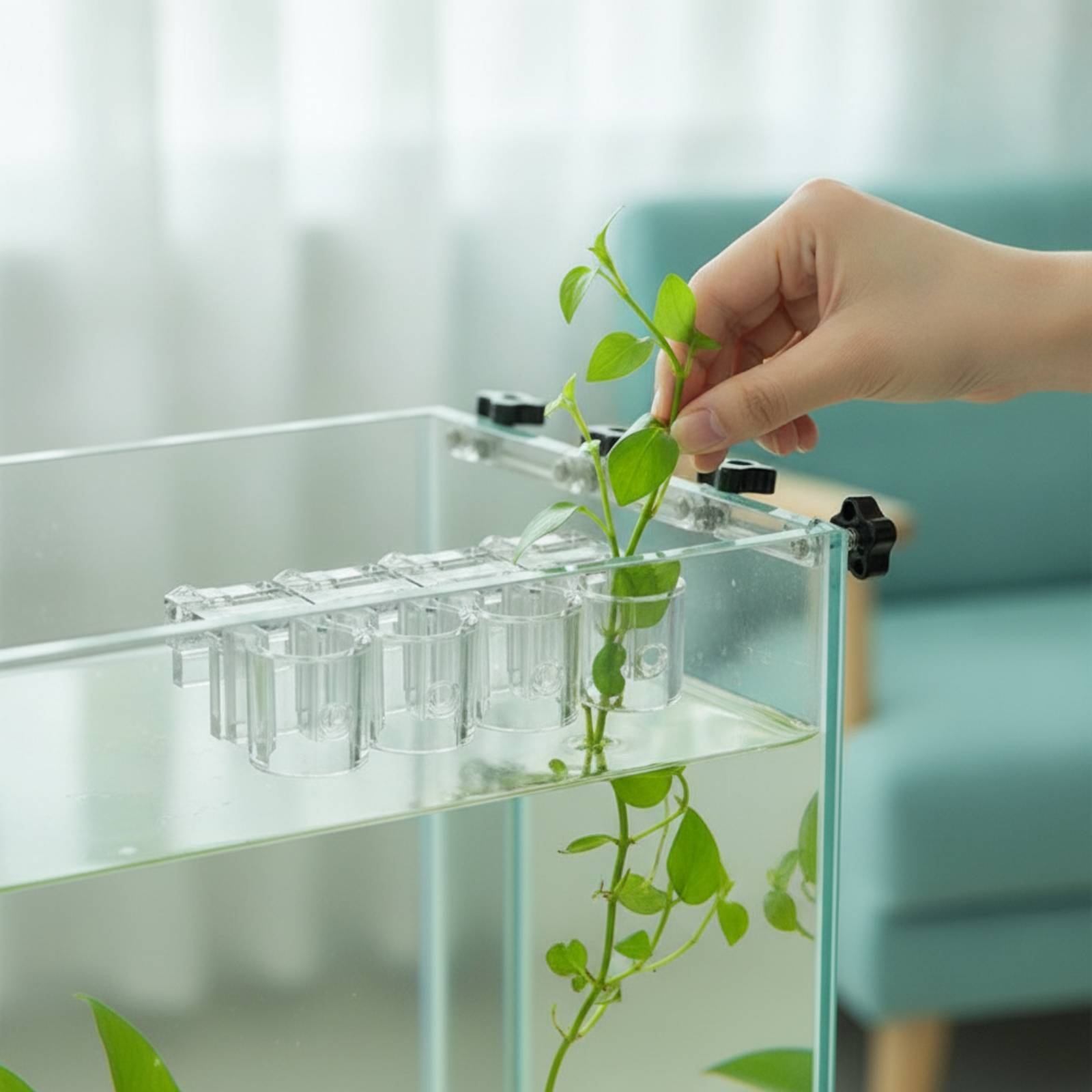 Aquarium Planted - 6 Pieces Aquarium Planter Clear Hydroponic