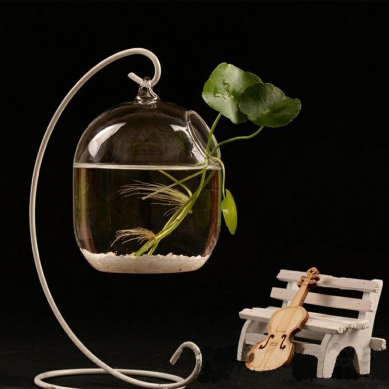 Planted Aquarium Bowl - Cá thủy tinh trong suốt 62kd