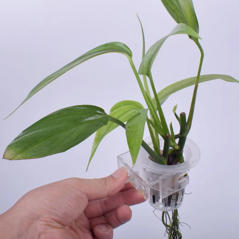 Aquarium Planet - Aquatic Plant Hanging Holder Adjustable Fish
