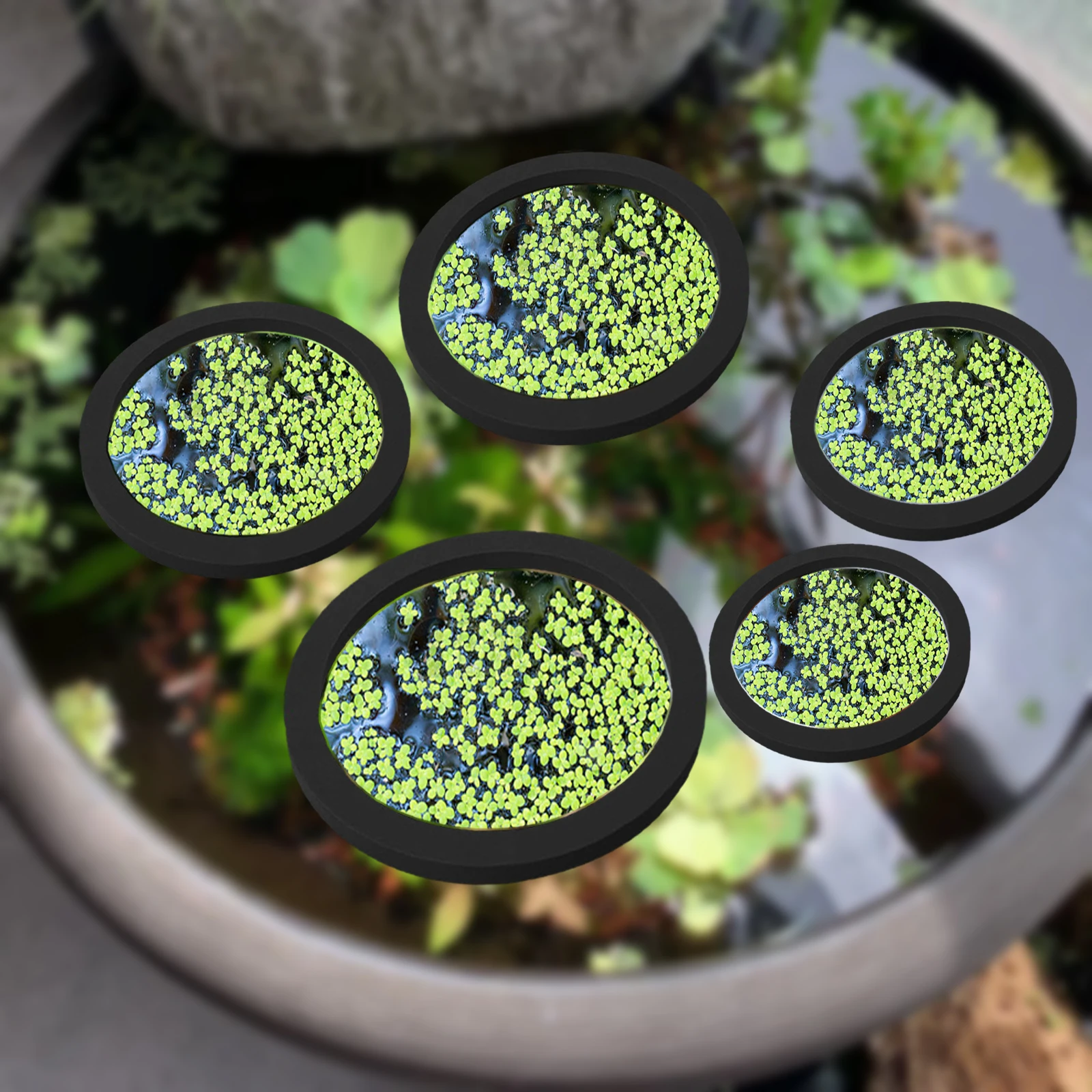 Aquarium Planted - 5Pcs EVA Fish Feeding Ring Aquarium