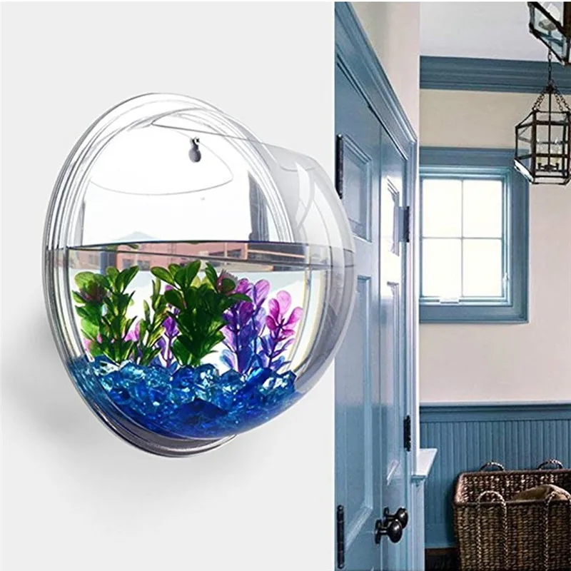 Planted Aquarium Bowl - Acrylic Trong Suốt Treo Tường Hồ