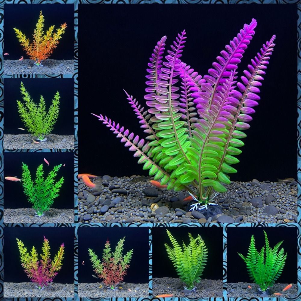 Fish Tank Ornament Plant Aquar - đánh giá và giá Planted Aquarium Bowl