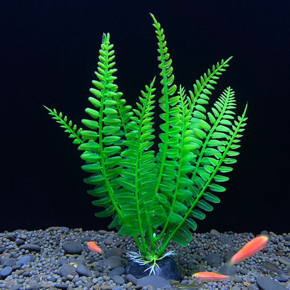 Fish Tank Ornament Plant Aquar - đánh giá và giá Planted Aquarium Bowl