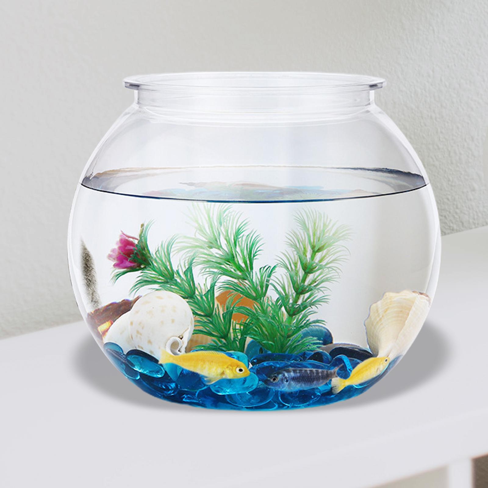 Transparent Small Fish Tank De - đánh giá và giá Planted Aquarium Bowl