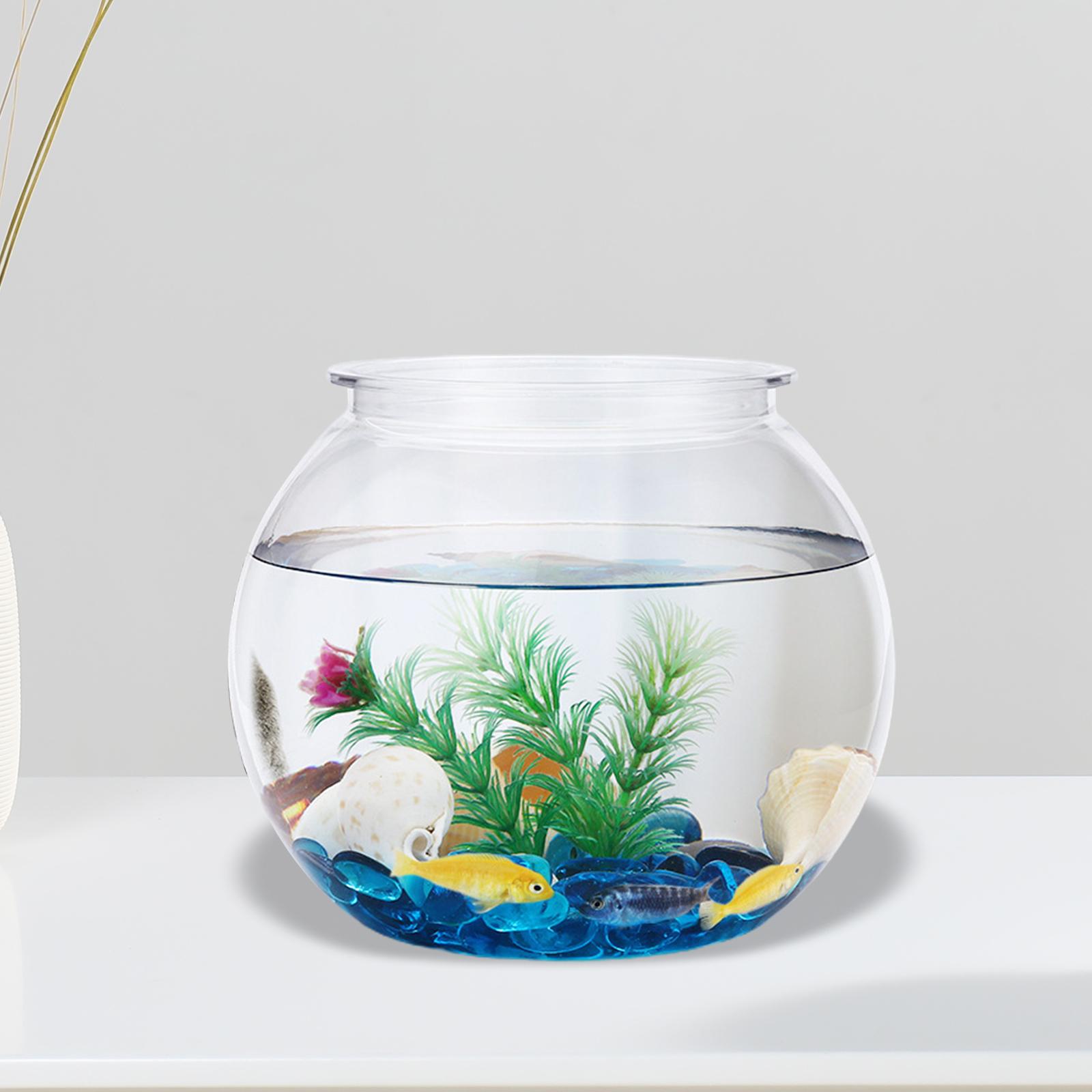 Transparent Small Fish Tank De - đánh giá và giá Planted Aquarium Bowl