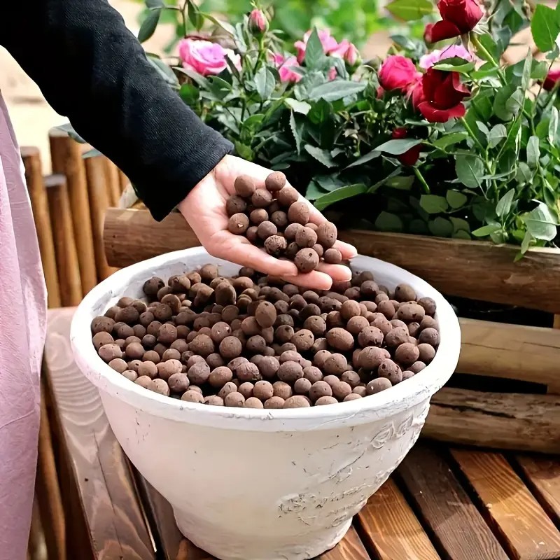 Lightweight & Breathable Terra - đánh giá và giá Aquarium Planted