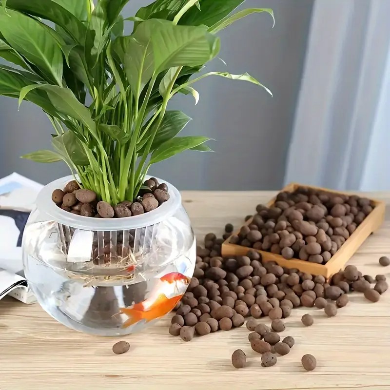 Lightweight & Breathable Terra - đánh giá và giá Aquarium Planted