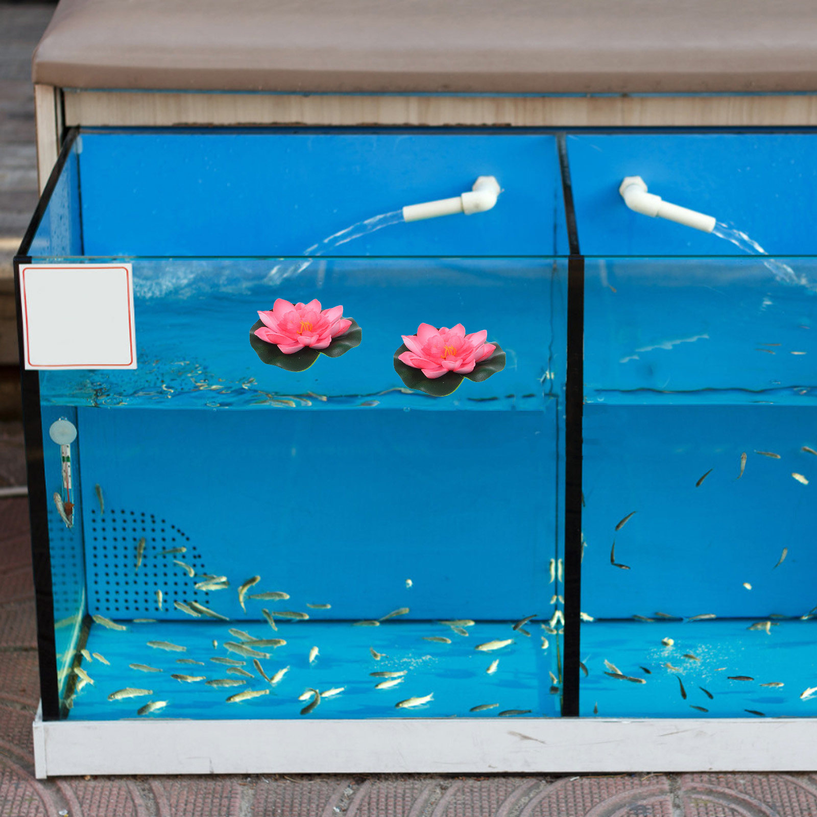 12Pcs Artificial Floating Wate - đánh giá và giá Aquarium Planted