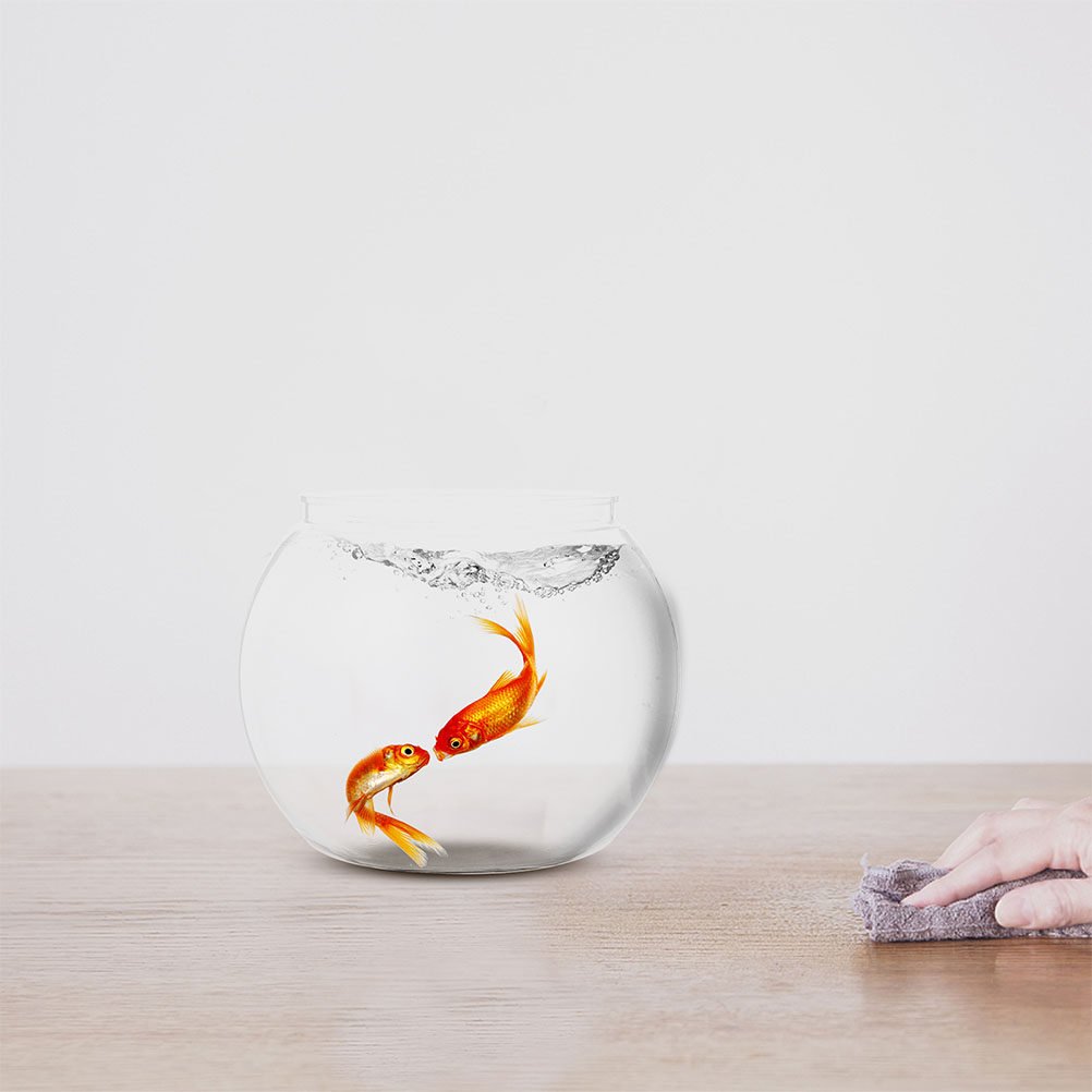 1Set Delicate Clear Fish Bowl  - đánh giá và giá Planted Aquarium Bowl