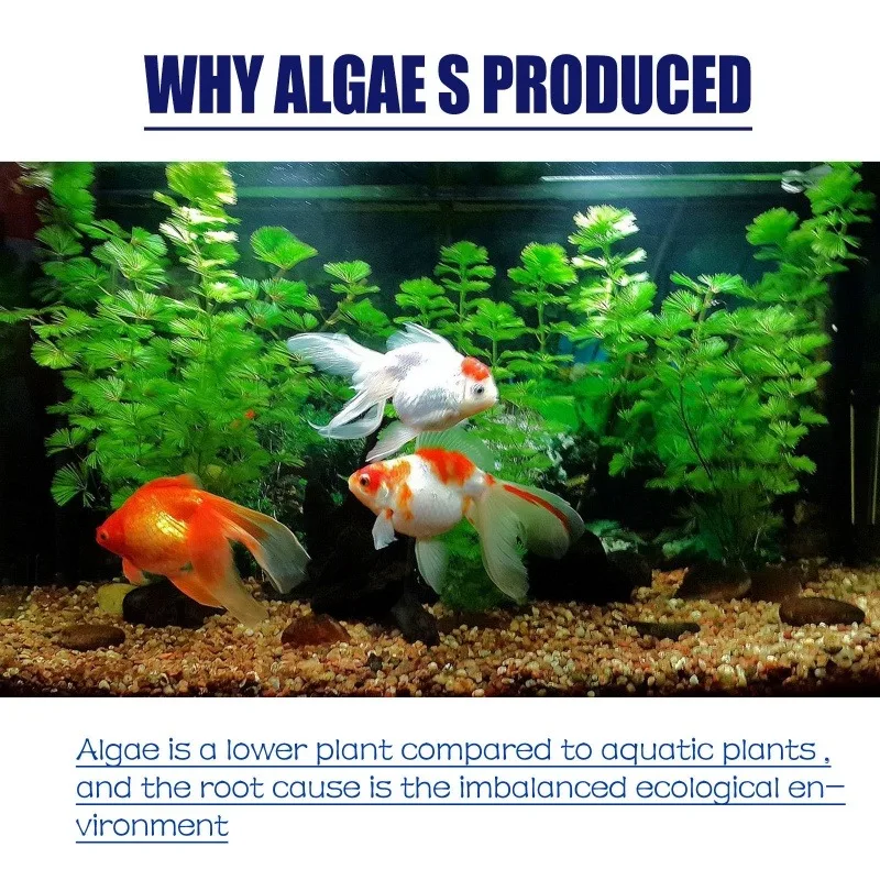 50g High Efficiency Algaecide  - đánh giá và giá Planted Aquarium Parameters