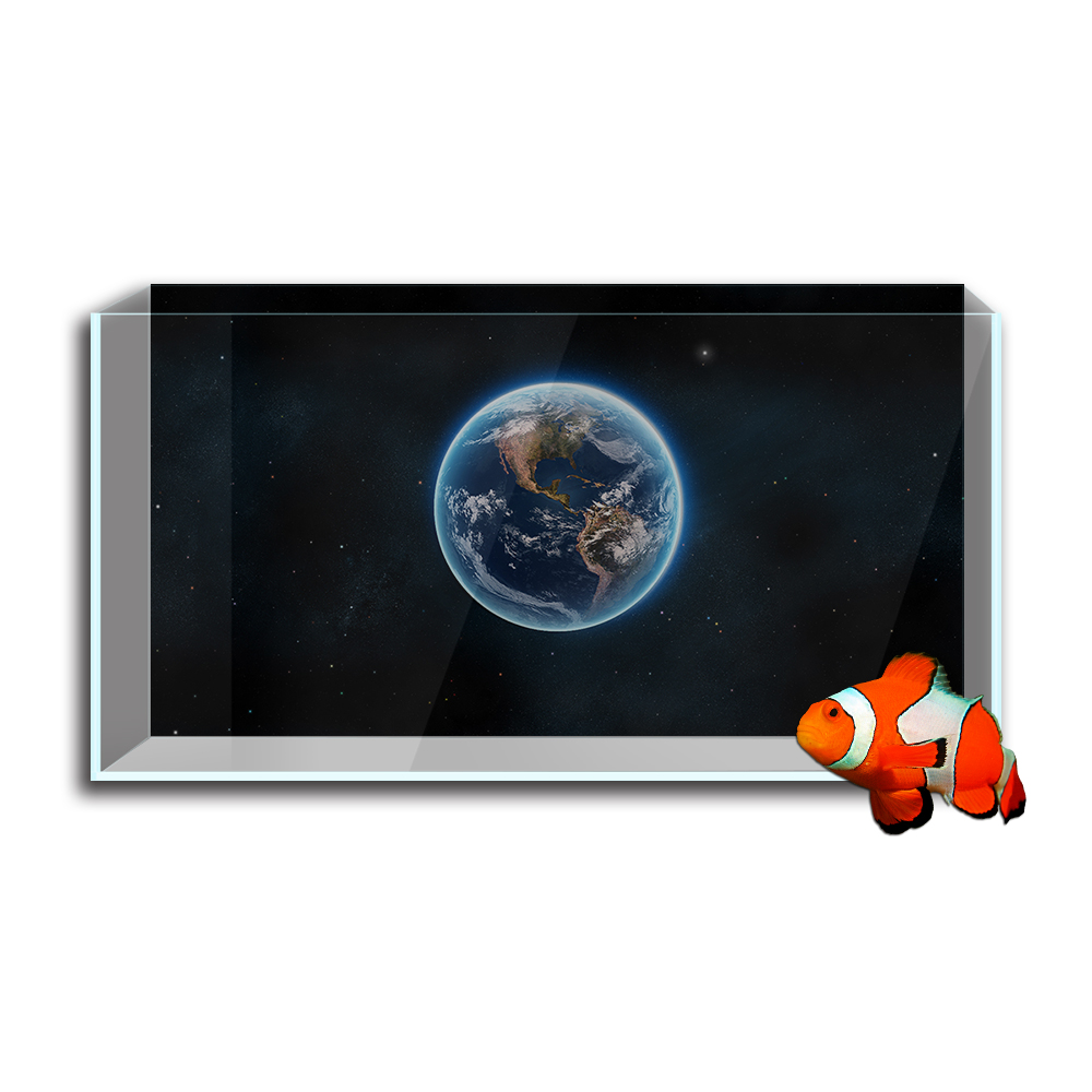 Hồ Cá Cá Nền Miếng Dán, Trái Đ - đánh giá và giá Aquarium Planet
