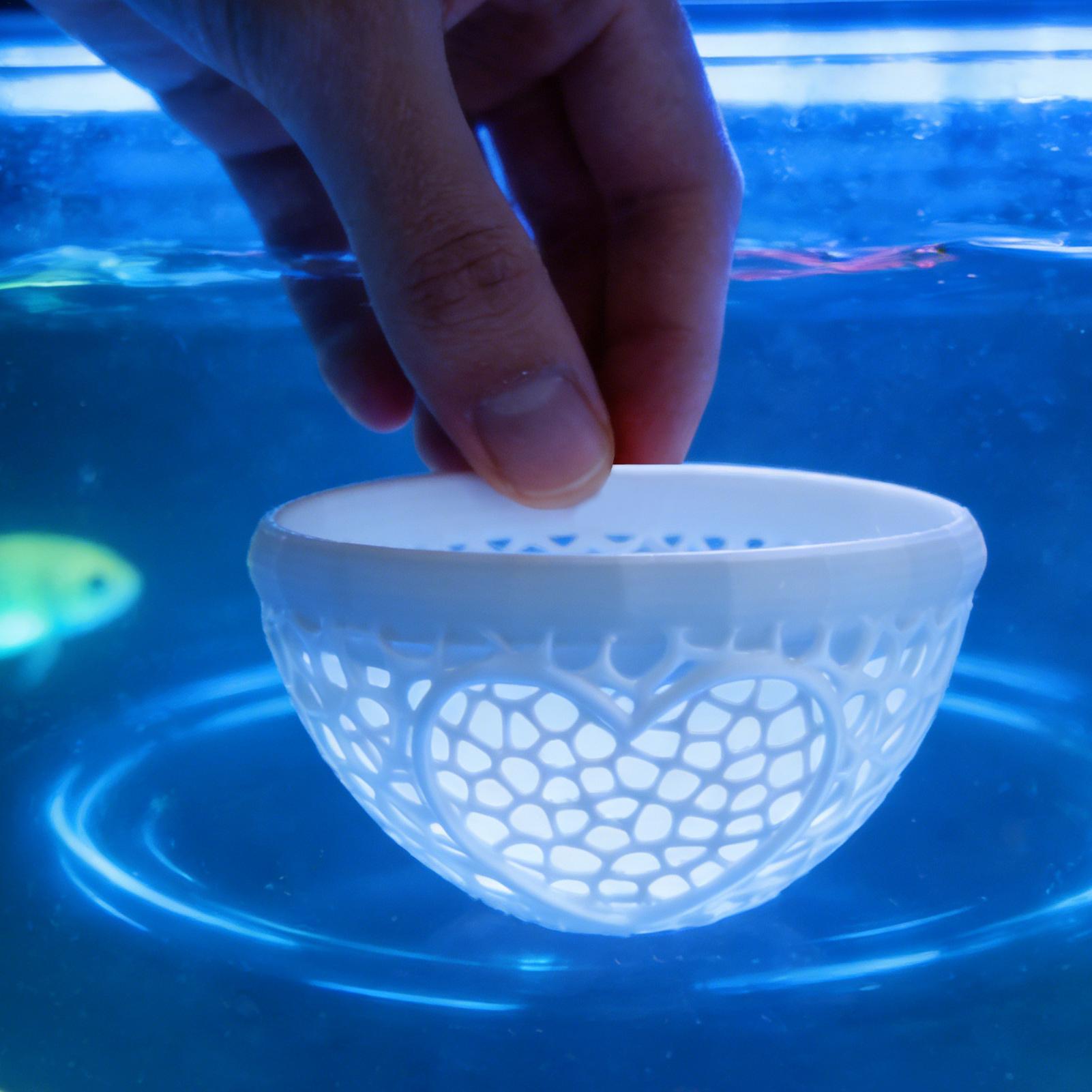 Floating betta shelter Betta h - đánh giá và giá Planted Aquarium For Betta