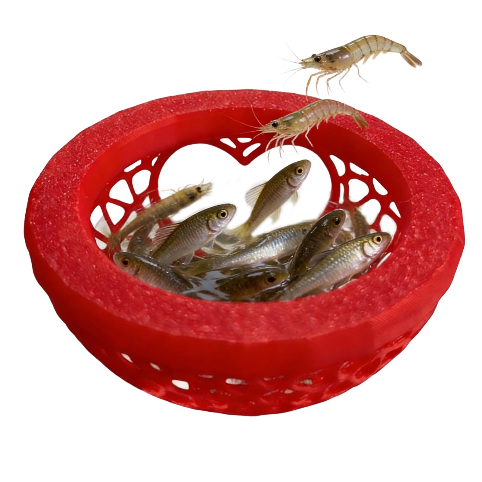 Floating betta shelter Betta h - đánh giá và giá Planted Aquarium For Betta