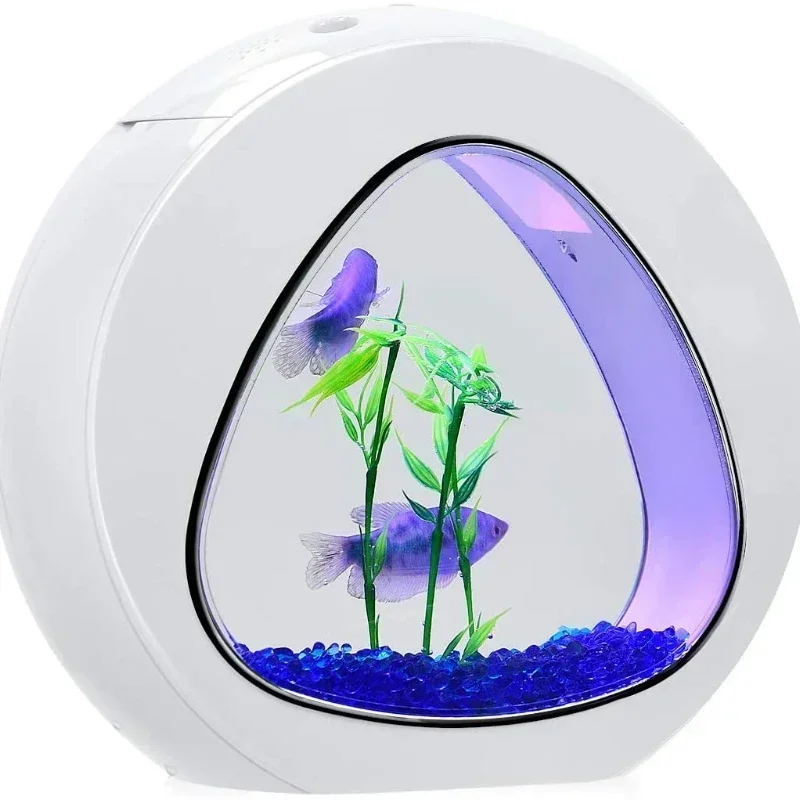 Betta Fish Tank, Fish Aquarium - đánh giá và giá Planted Aquarium Bowl