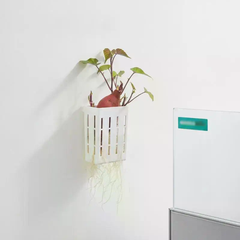 1Pcs Hydroponic Support Basket - đánh giá và giá Aquarium Planted
