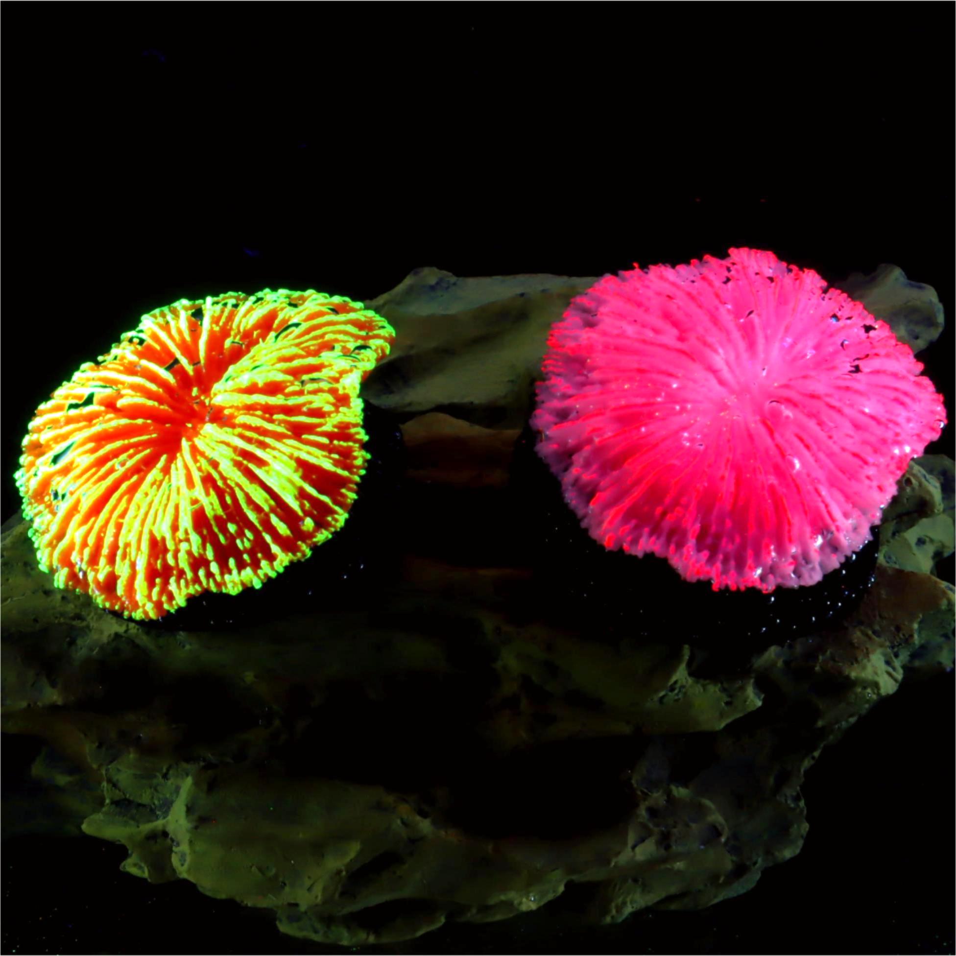 1 piece aquarium decoration sa - đánh giá và giá Aquarium Planet