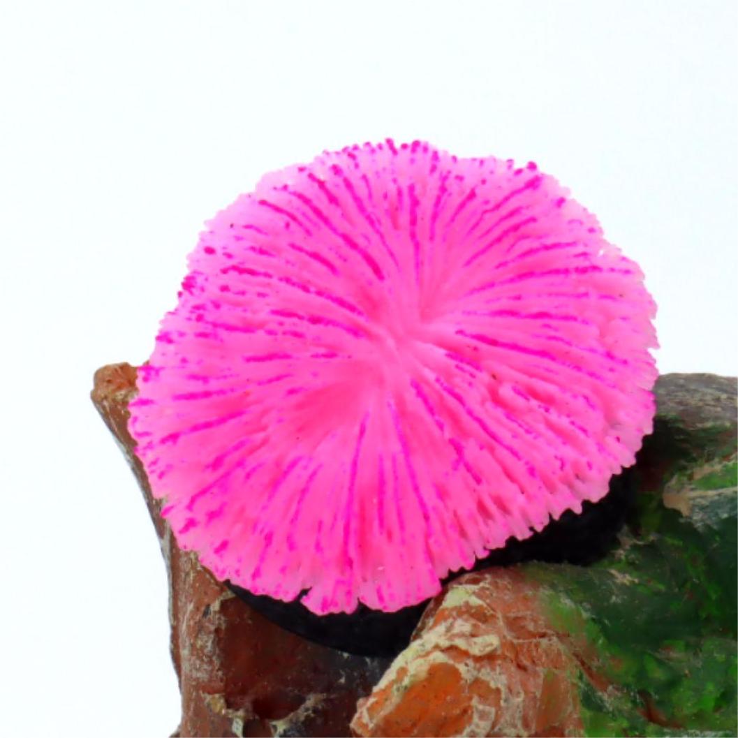 1 piece aquarium decoration sa - đánh giá và giá Aquarium Planet