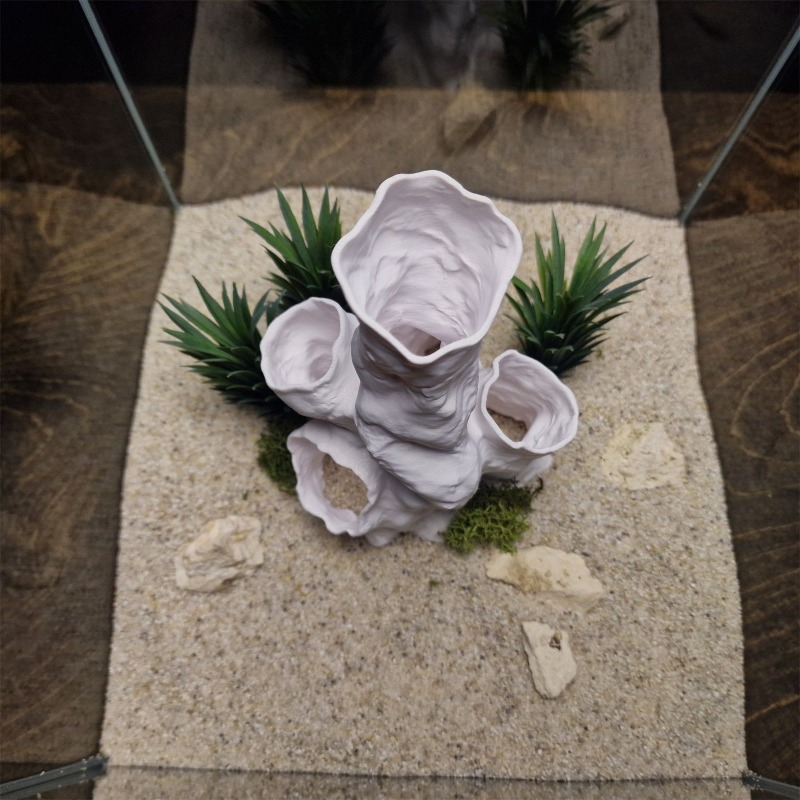 Hot Sale 3D Printed Coral Tunn - đánh giá và giá Planted Aquarium For Betta