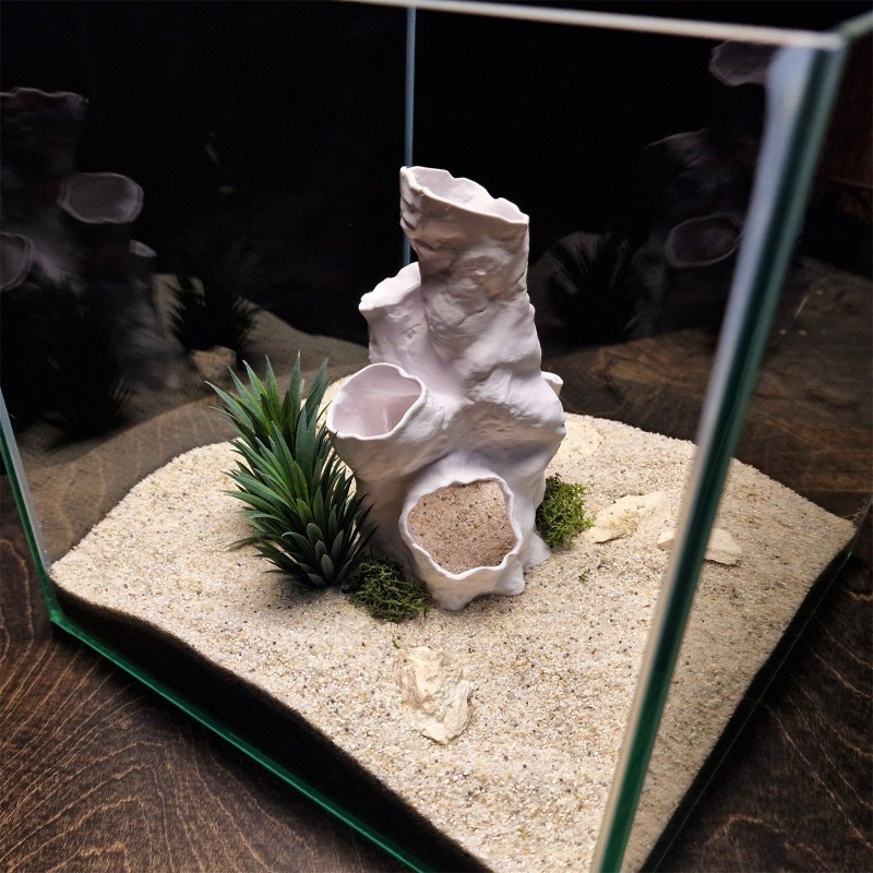 Hot Sale 3D Printed Coral Tunn - đánh giá và giá Planted Aquarium For Betta