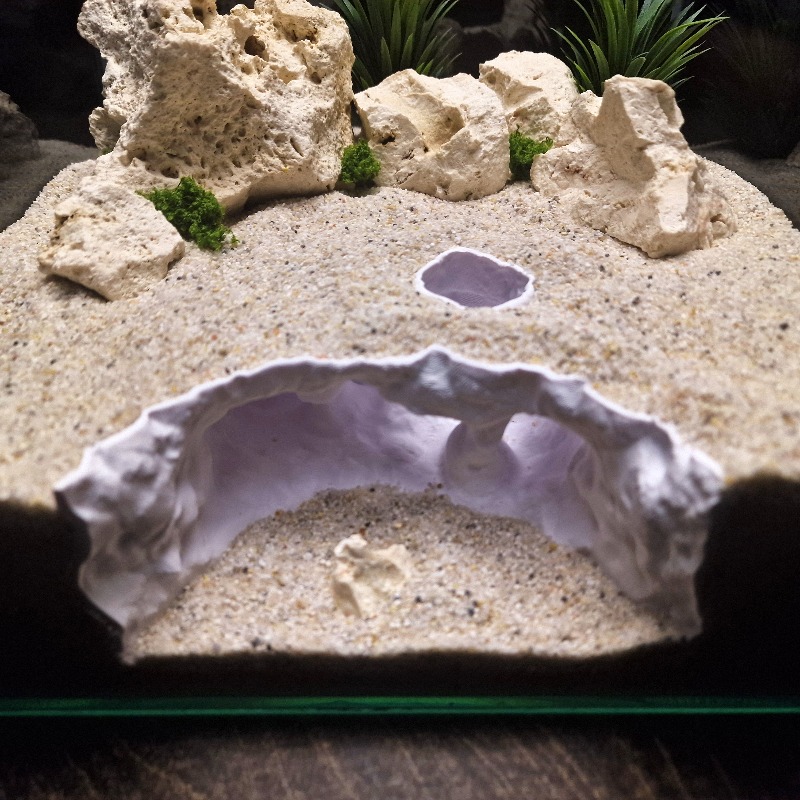 3D Printed Forked Cave Aquariu - đánh giá và giá Aquarium Planet