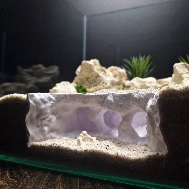 3D Printed Forked Cave Aquariu - đánh giá và giá Aquarium Planet