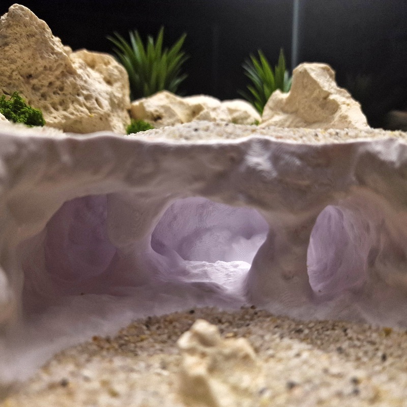 3D Printed Forked Cave Aquariu - đánh giá và giá Aquarium Planet