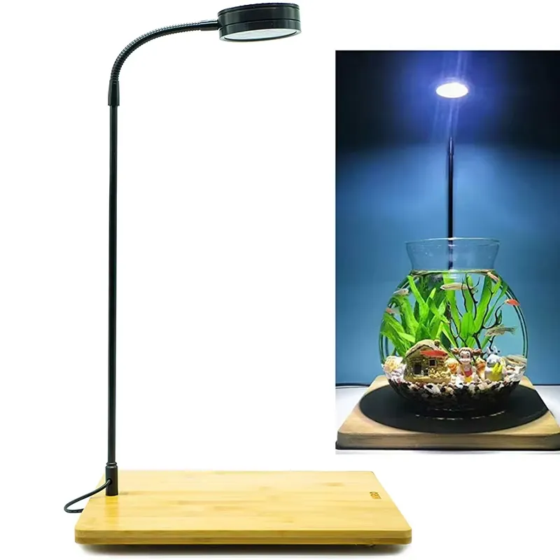 Full Spectrum LED Light with B - đánh giá và giá Planted Aquarium For Betta