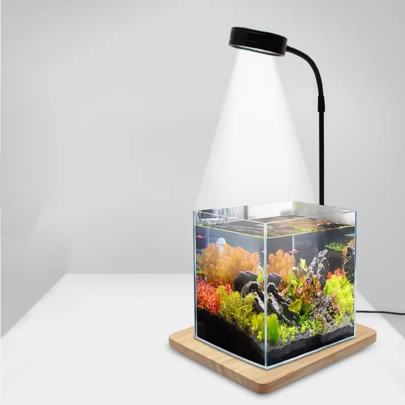 Full Spectrum LED Light with B - đánh giá và giá Planted Aquarium For Betta