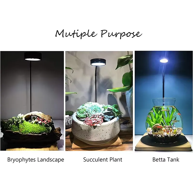 Full Spectrum LED Light with B - đánh giá và giá Planted Aquarium For Betta