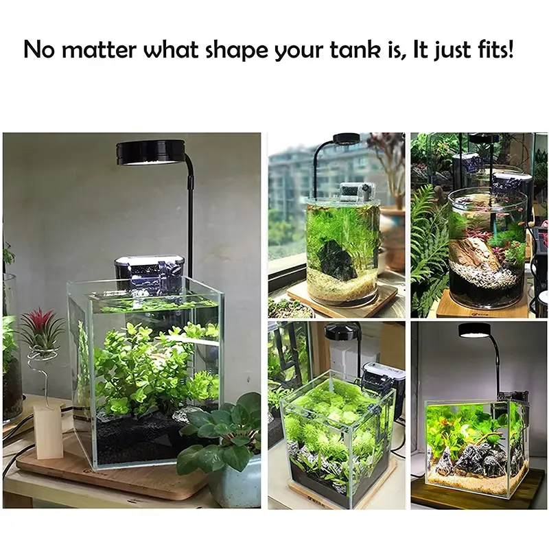 Full Spectrum LED Light with B - đánh giá và giá Planted Aquarium For Betta