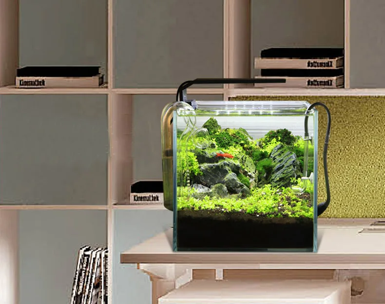 Chihiros C Series ADA Style Pl - đánh giá và giá Aquarium Plant Diseases
