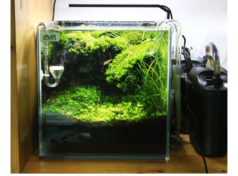 Chihiros C Series ADA Style Pl - đánh giá và giá Aquarium Plant Diseases