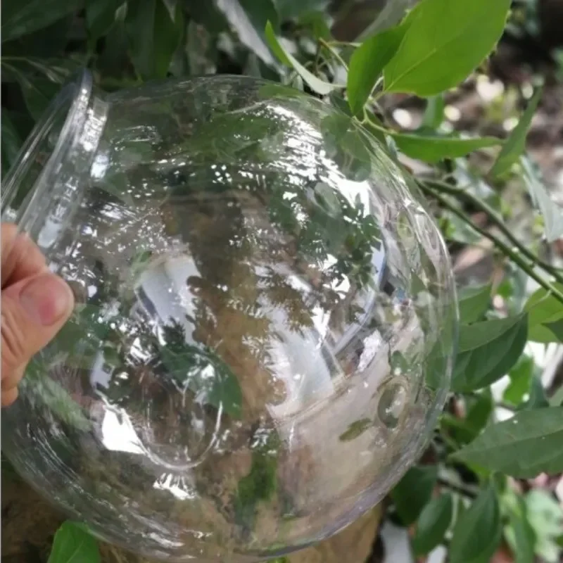 Goldfish bowl desktop transpar - đánh giá và giá Planted Aquarium Bowl