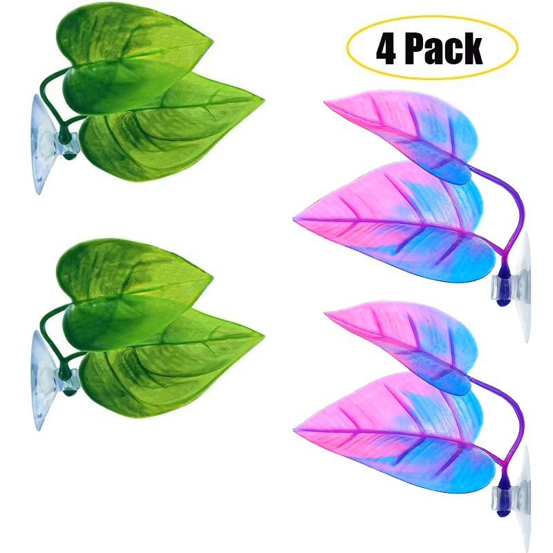 4 Gói Cá Betta Lá Võng Mô Phỏn - đánh giá và giá Planted Aquarium For Betta