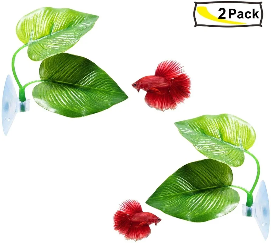 4 Gói Cá Betta Lá Võng Mô Phỏn - đánh giá và giá Planted Aquarium For Betta