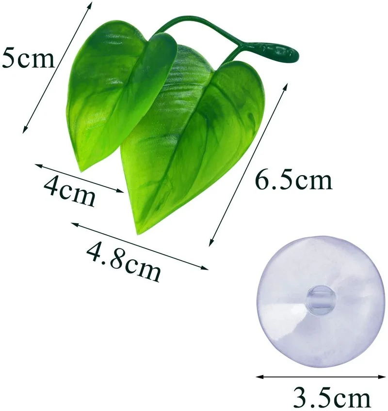 4 Gói Cá Betta Lá Võng Mô Phỏn - đánh giá và giá Planted Aquarium For Betta