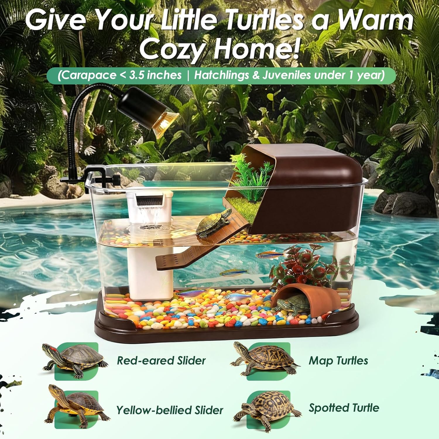 Turtle Tank Starter Kit,PC Tur - đánh giá và giá Planted Aquarium Starter Kit