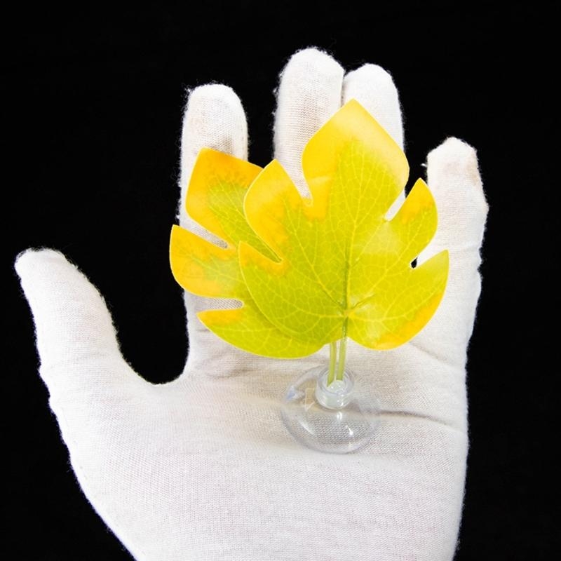 Giường võng lá cá cho bể cá Be - đánh giá và giá Planted Aquarium For Betta