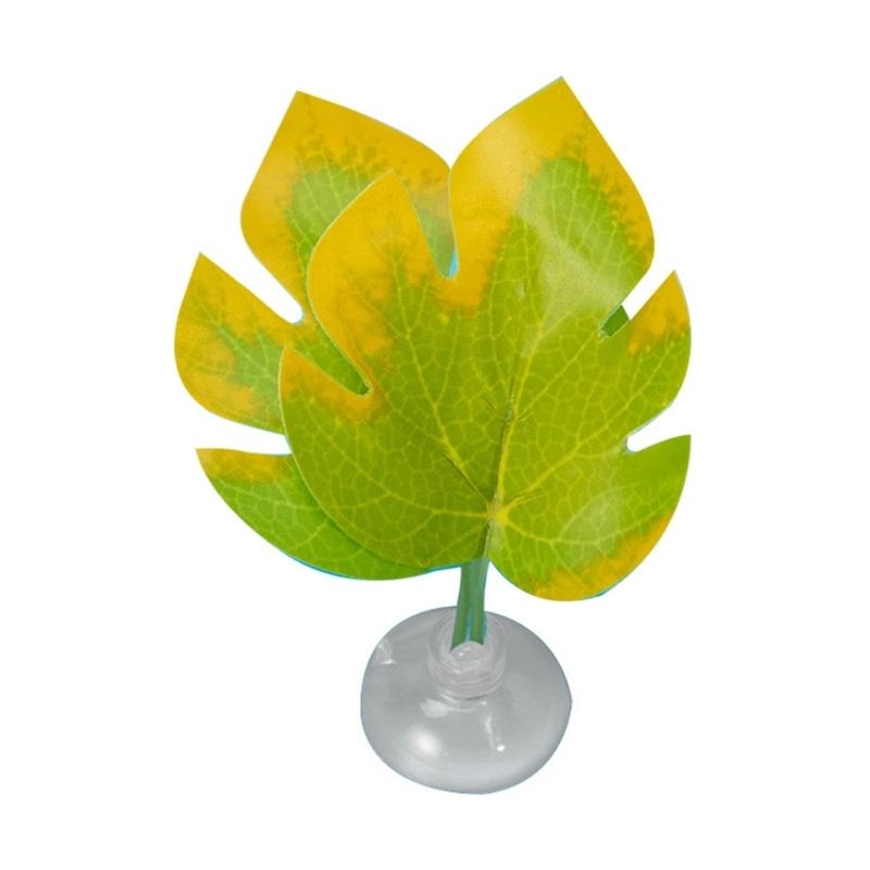 Giường võng lá cá cho bể cá Be - đánh giá và giá Planted Aquarium For Betta