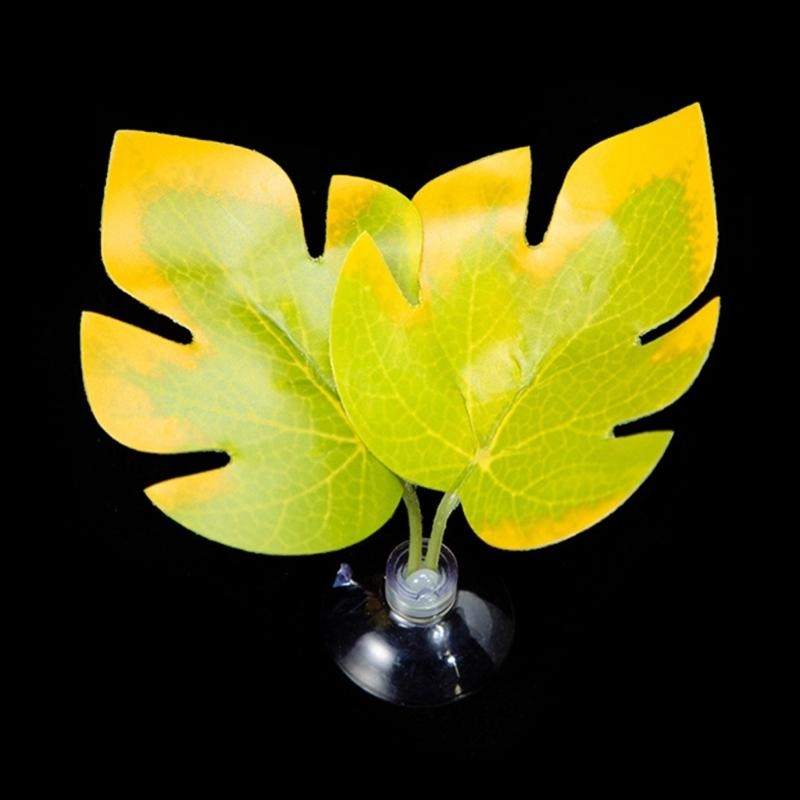 Giường võng lá cá cho bể cá Be - đánh giá và giá Planted Aquarium For Betta
