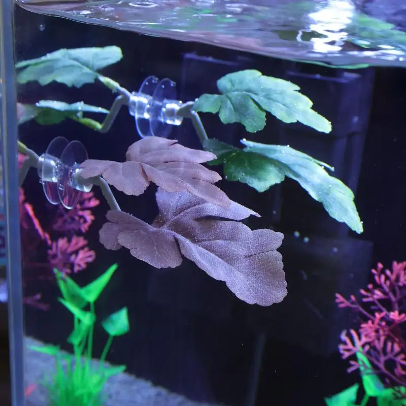 Betta Fish Leaf Hammock Aquari - đánh giá và giá Planted Aquarium For Betta