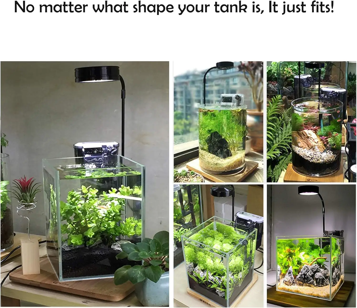 LED Aquarium Grow Light with B - đánh giá và giá Planted Aquarium For Betta