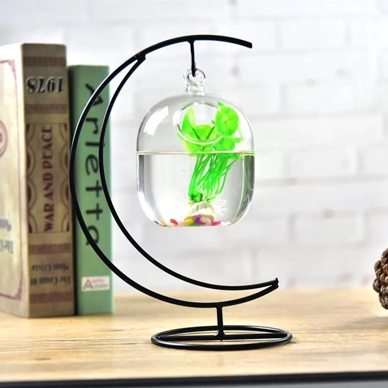 Cá thủy tinh trong suốt 62kd l - đánh giá và giá Planted Aquarium Bowl