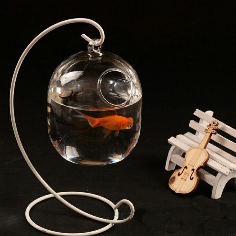 Cá thủy tinh trong suốt 62kd l - đánh giá và giá Planted Aquarium Bowl