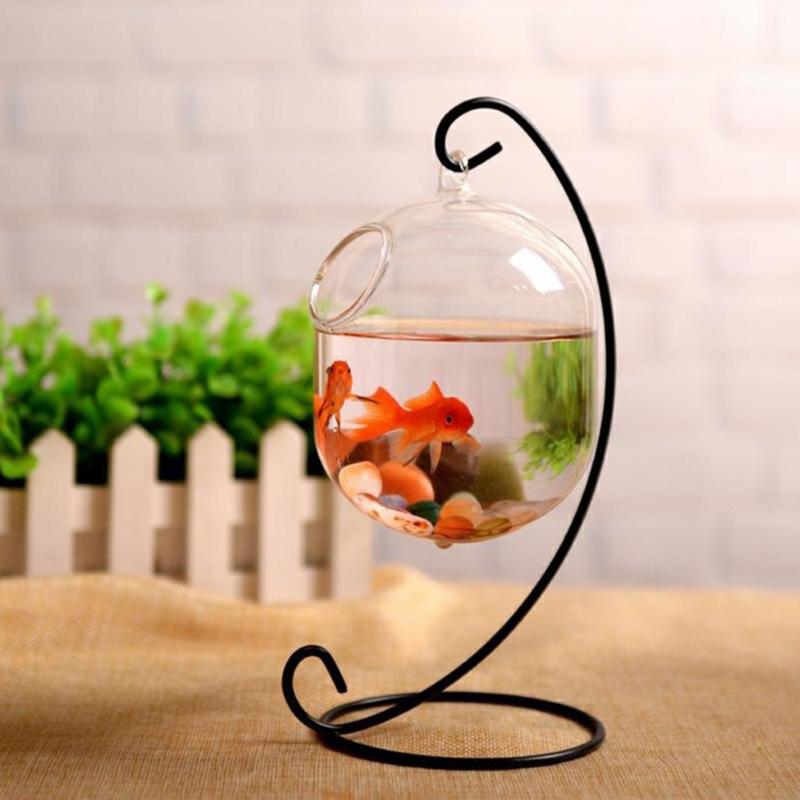 Cá thủy tinh trong suốt 62kd l - đánh giá và giá Planted Aquarium Bowl