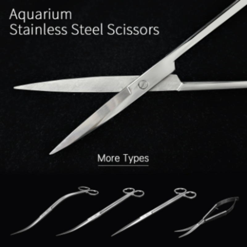 Week Aqua Stainless Steel Aqua - đánh giá và giá Aquarium Plant Iron
