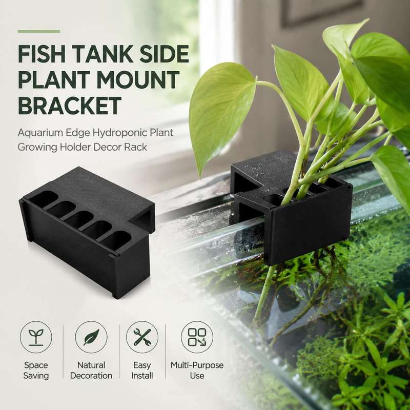 Fish Tank Side Plant Mount Bra - đánh giá và giá Aquarium Plant Diseases