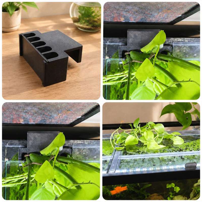 Fish Tank Side Plant Mount Bra - đánh giá và giá Aquarium Plant Diseases
