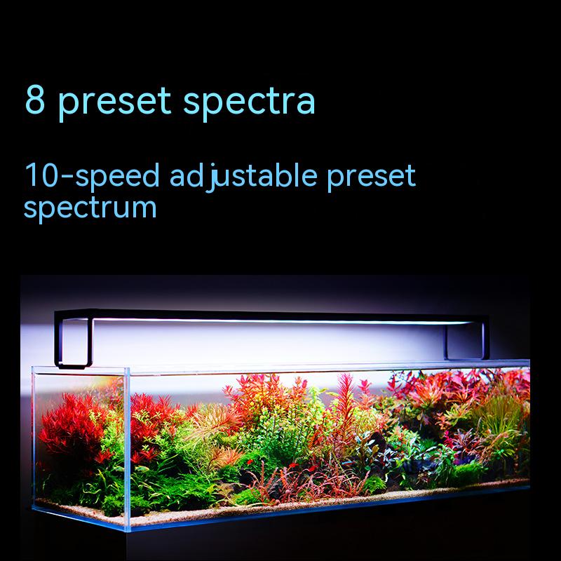 NETLEA 540S/590S Aquarium Full - đánh giá và giá Aquarium Plant Diseases