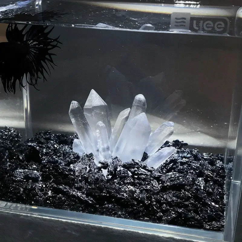 Creative Betta Tank Decor Clea - đánh giá và giá Aquarium Planet